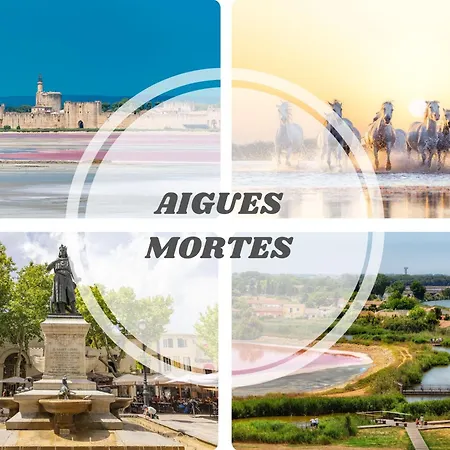 Le Farniente Terrasse Clim Parking Plage A Pied Top Pros Servicesconciergerie La Grande Motte Lejlighed La Grande-Motte