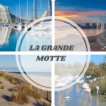 Lejlighed Le Farniente - Belle Terrasse Wifi Parking A 5 Min Des Plages - Pros Servicesconciergerie Motte La Grande-Motte